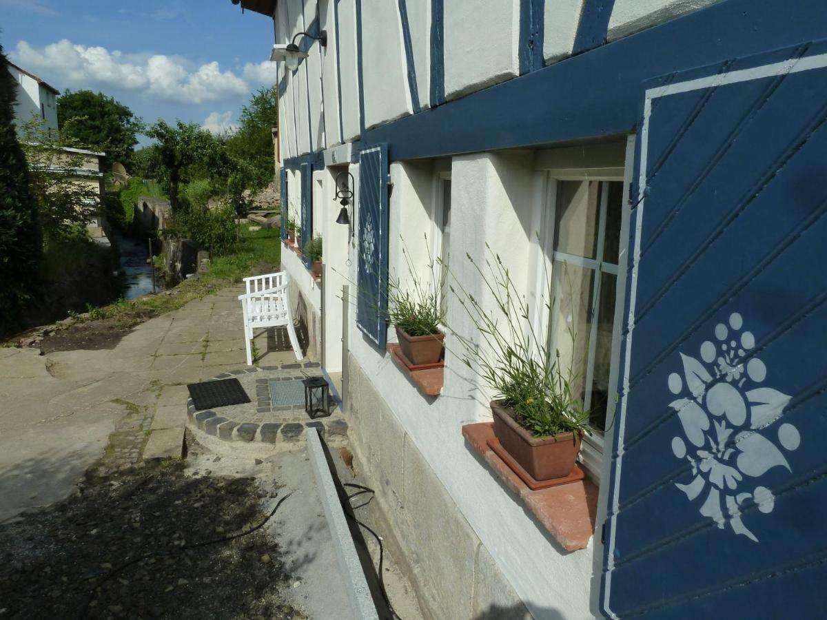 Goldbachhaeuschen Villa Olbersdorf Exterior foto