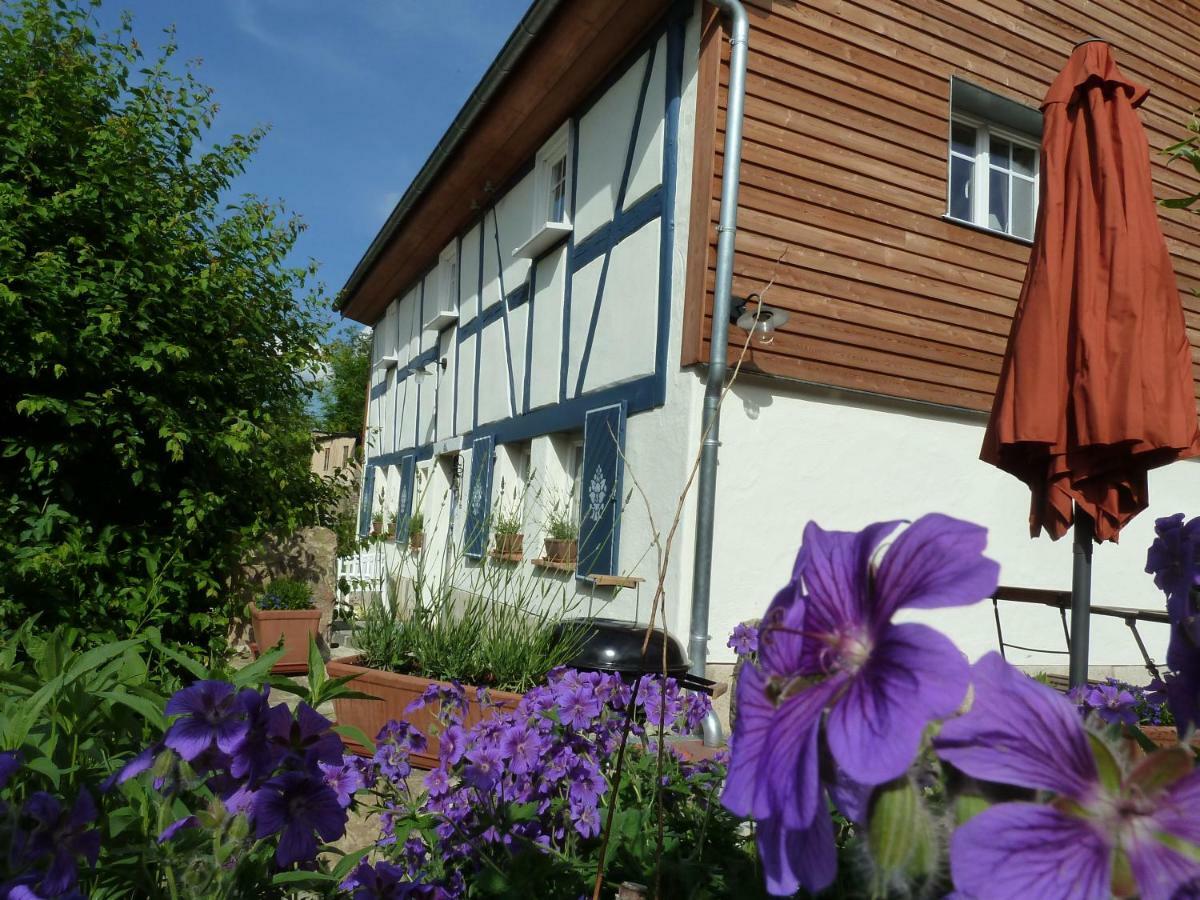 Goldbachhaeuschen Villa Olbersdorf Exterior foto